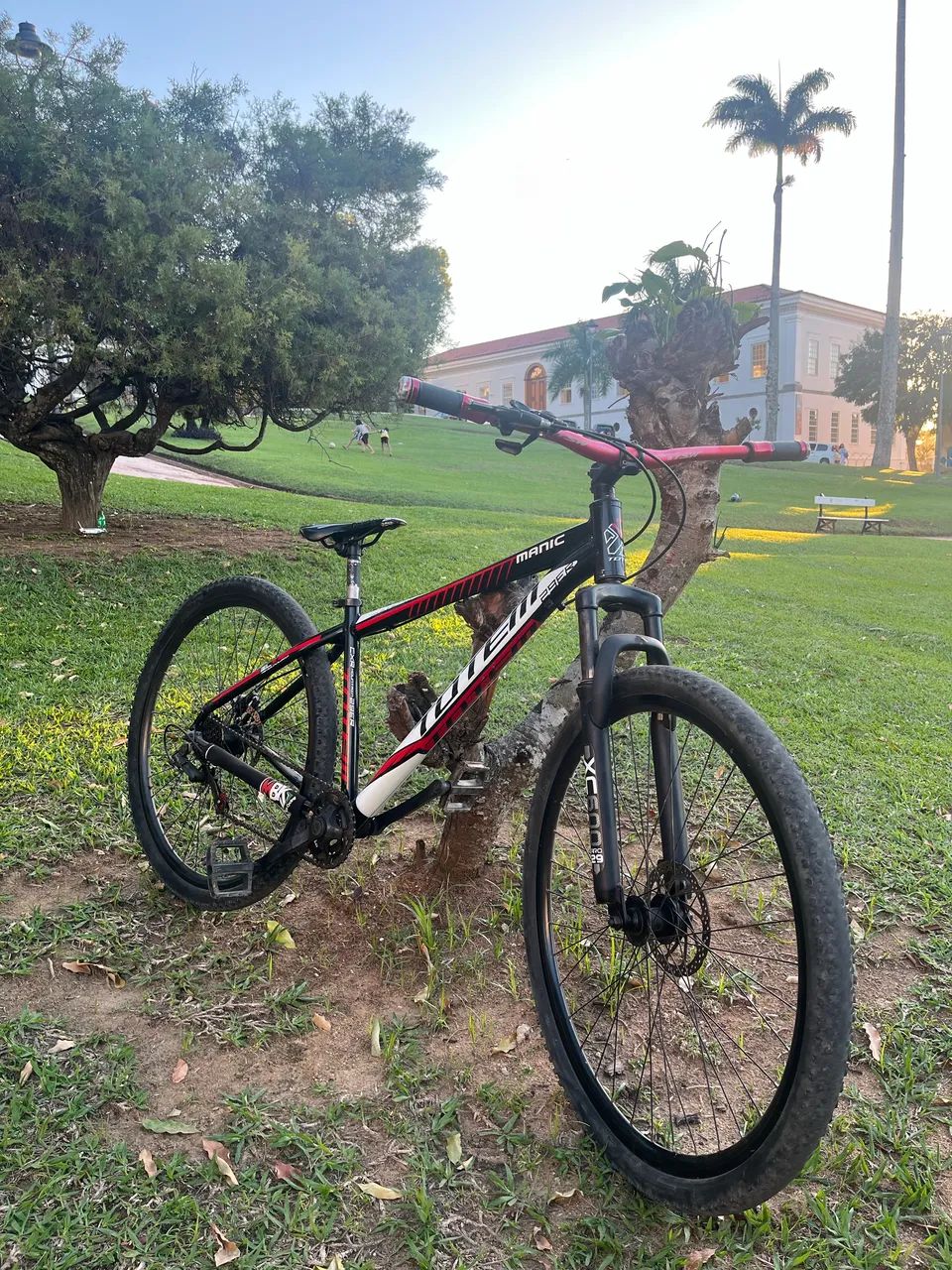 Bicicleta Totem