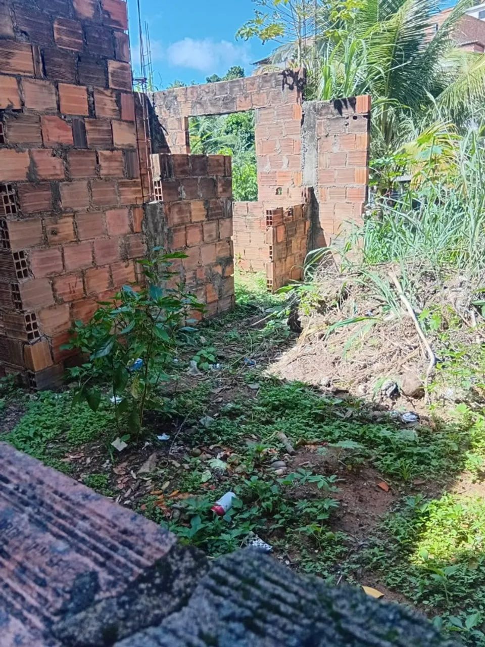 Terreno - Foto 3