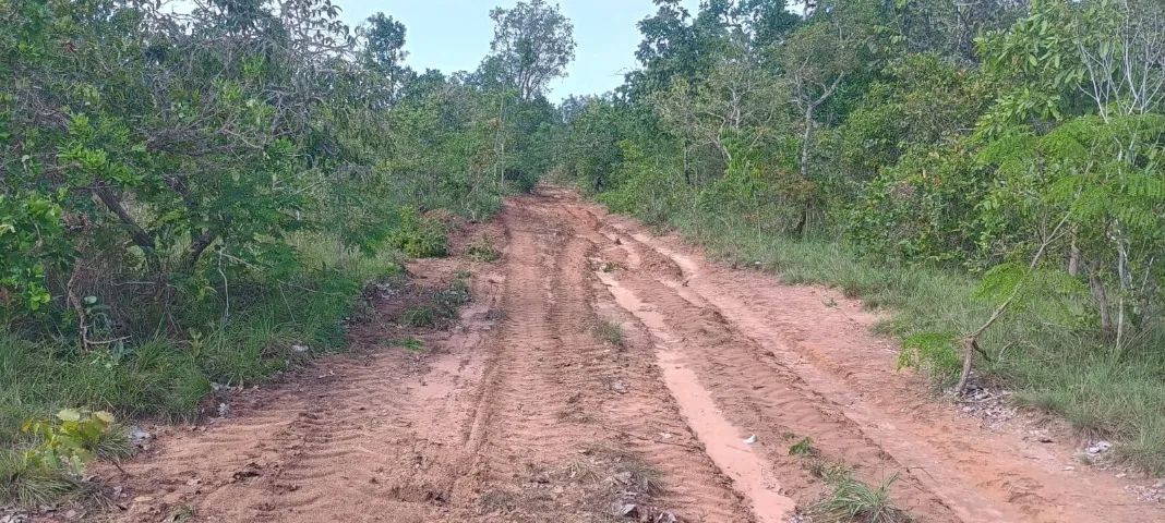 Fazenda Tocantins Dupla Aptidão Bruta, 406 Hectares - Foto 3