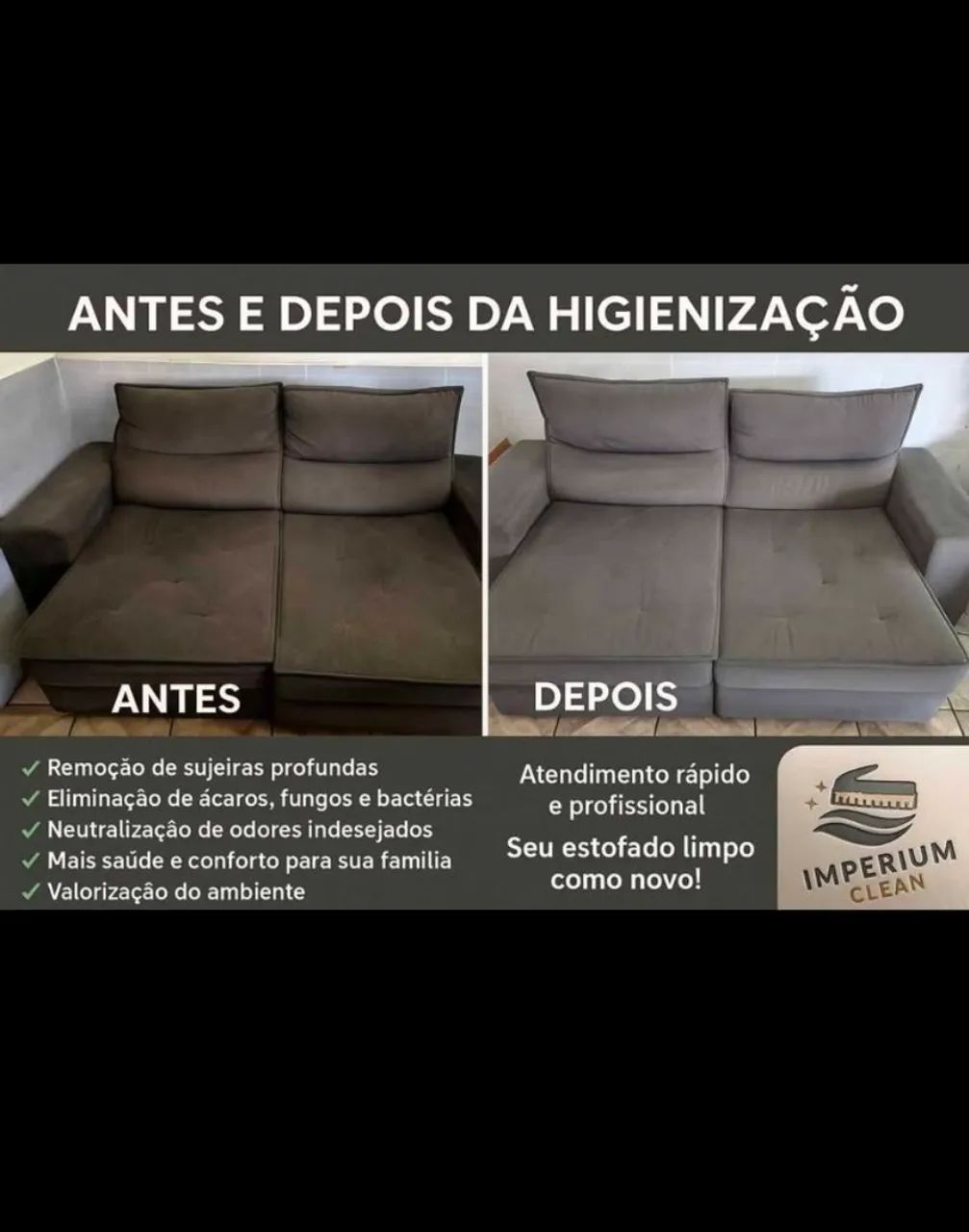 Higienização a seco 