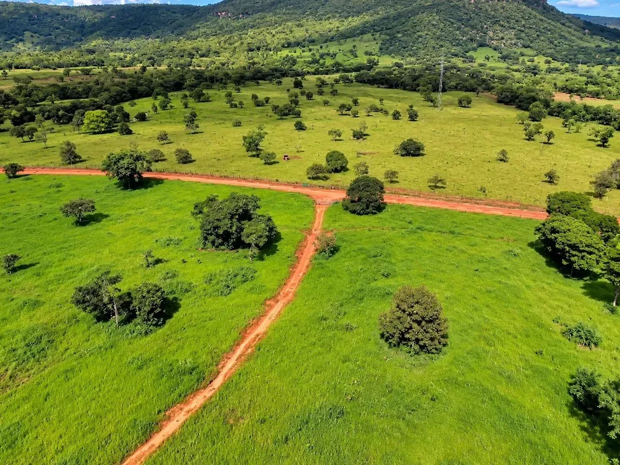 Fazenda a venda em Palmas - Tocantins!!! - Foto 2