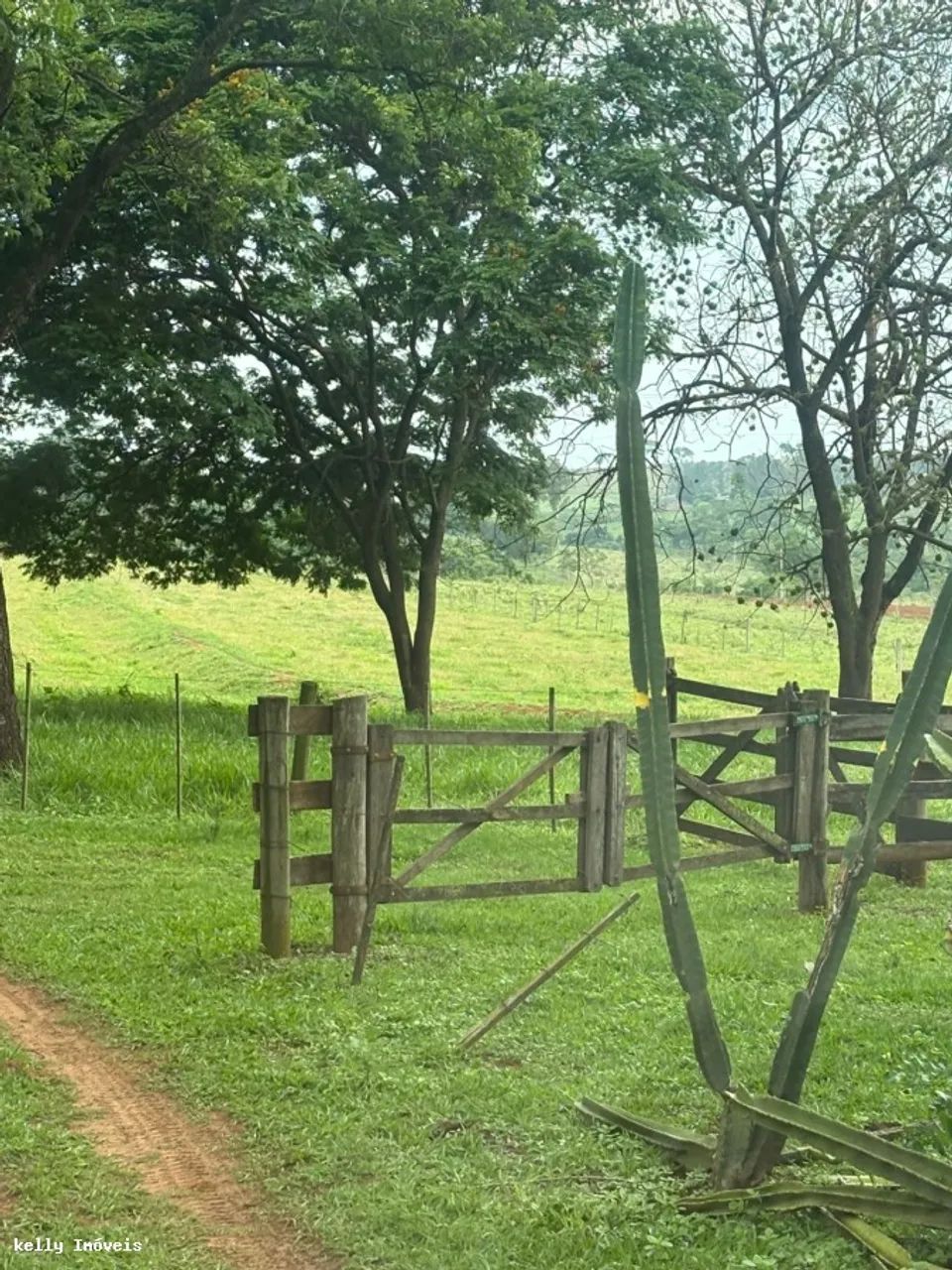 Chácara para Venda em Martinópolis / SP no bairro Rural
