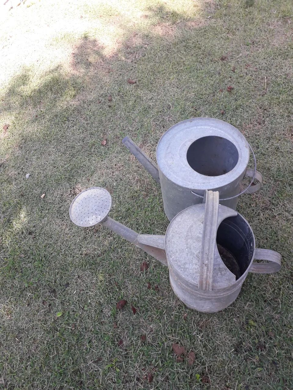 Reagador