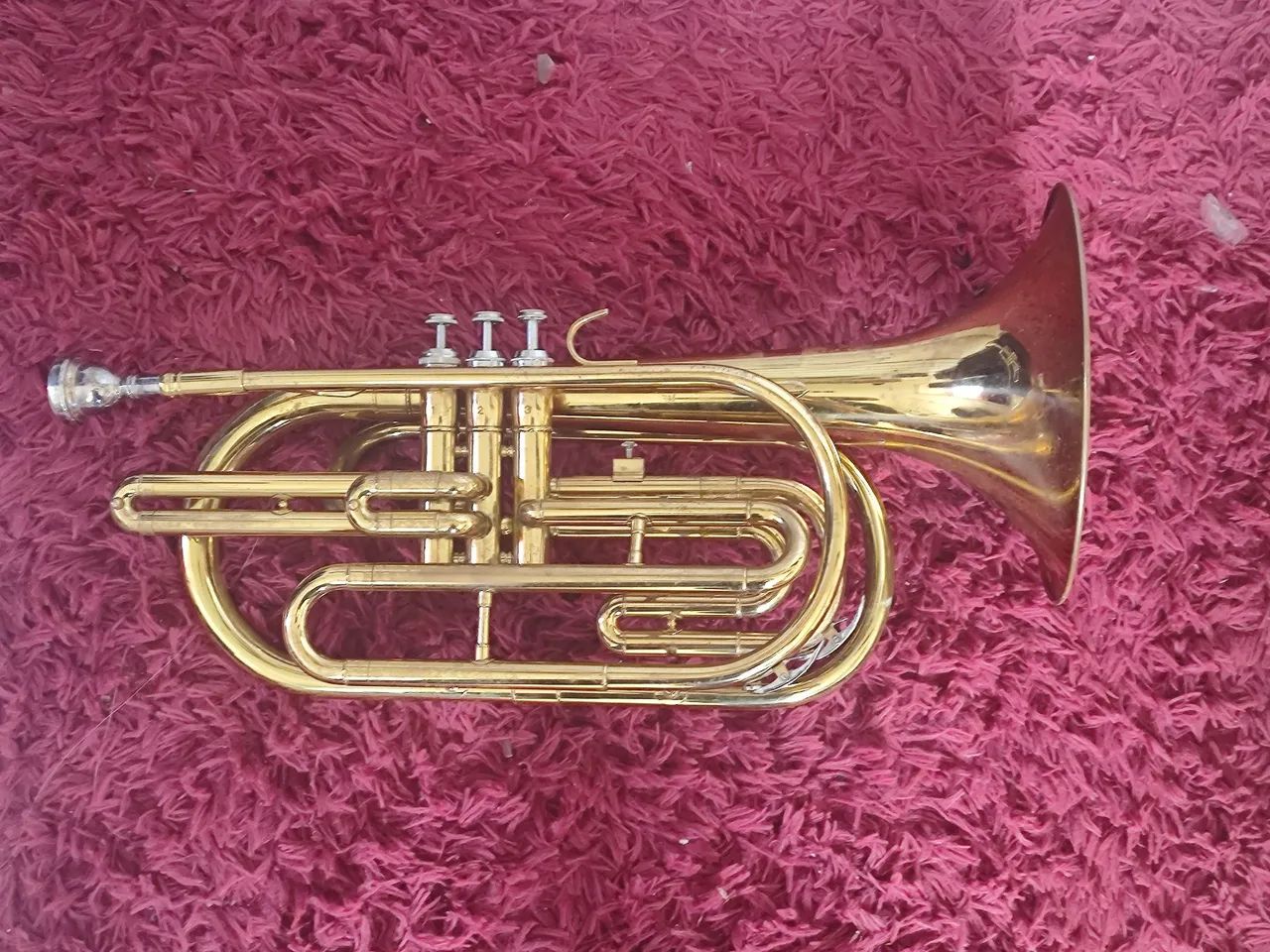 Trombonito BM sib - Foto 3