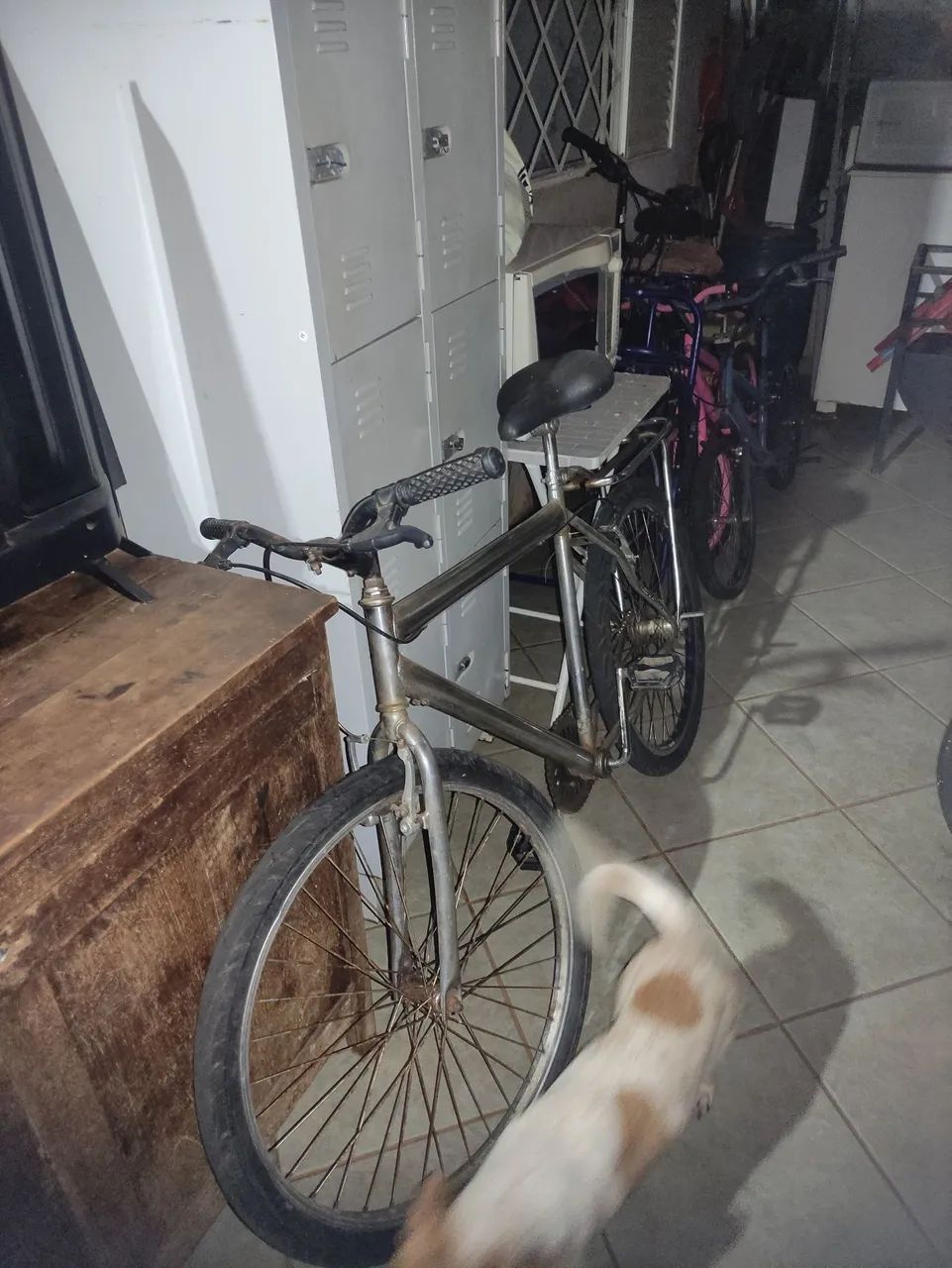 Baike 26