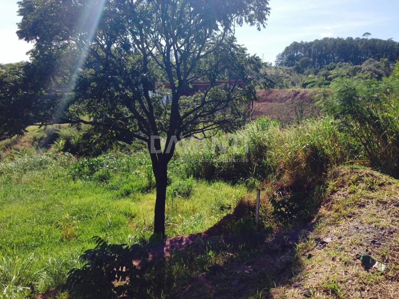 terreno - Mirante das Estrelas - Vinhedo - Foto 2