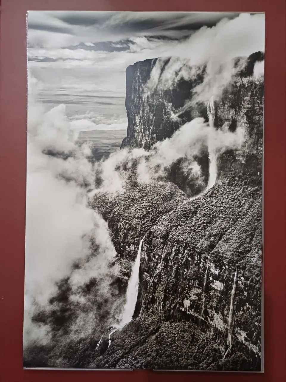 Foto Sebastião Salgado com certificado.