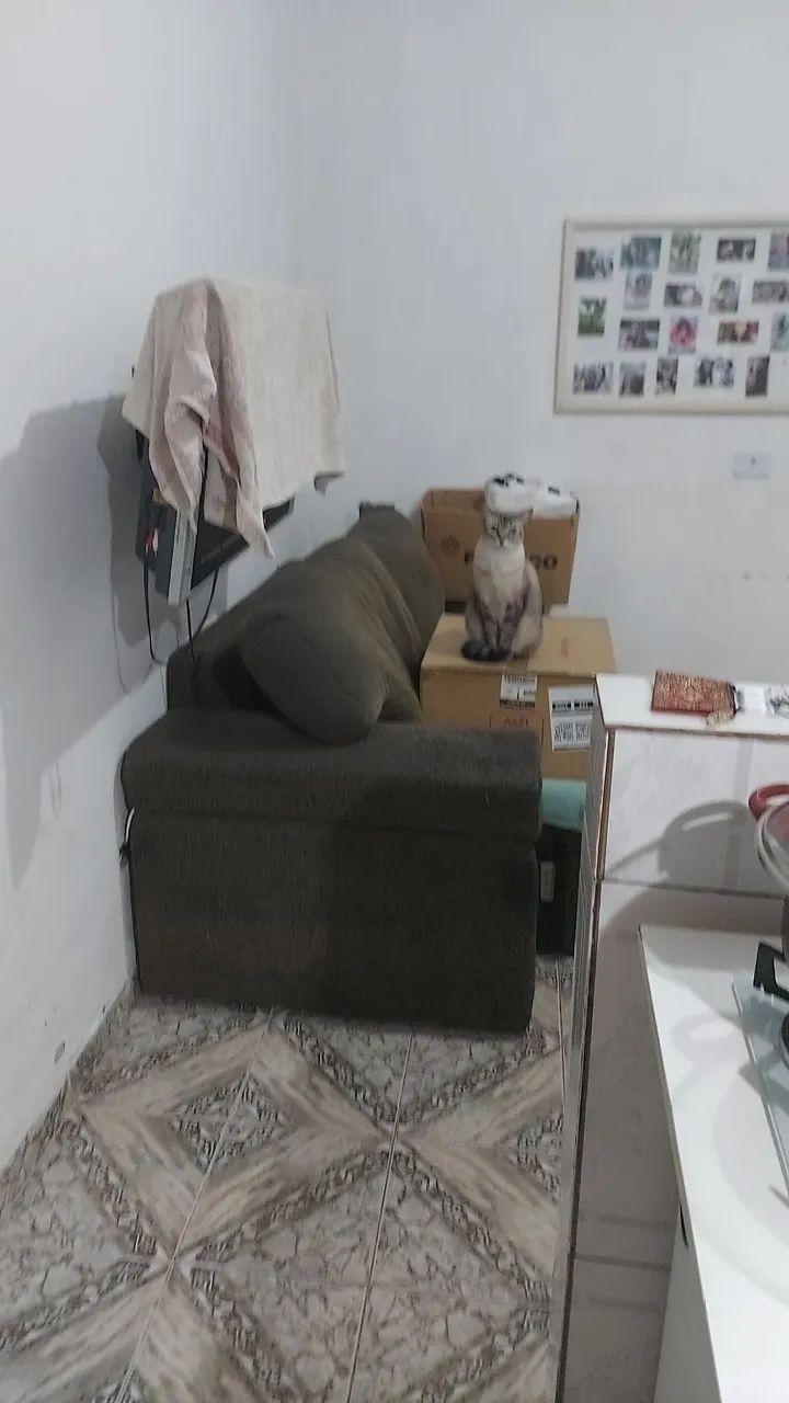 Doações de roupas, brinquedos, 2 ventiladores e um sofá 