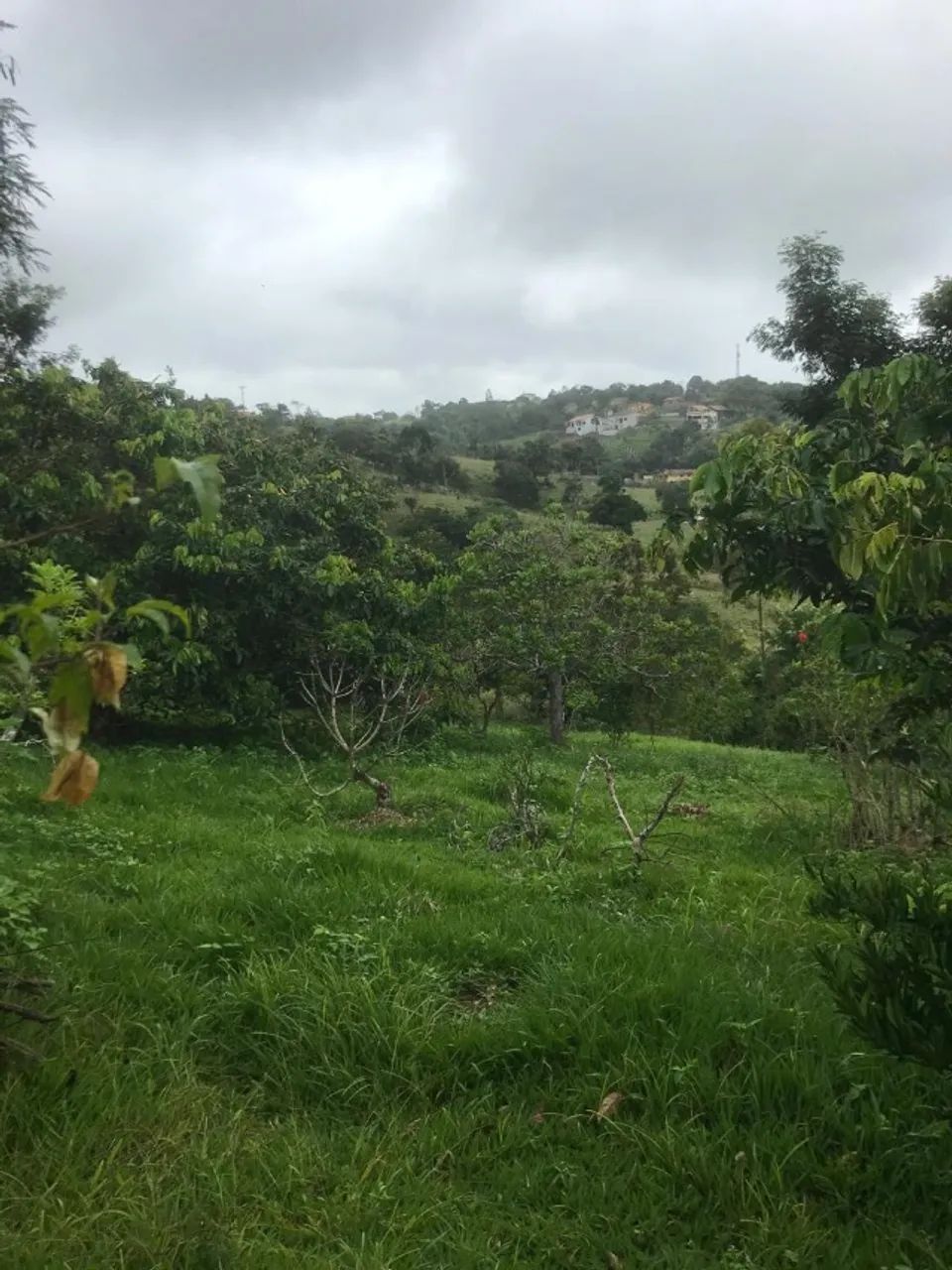 Serra Negra - Bezerros/PE - Foto 5