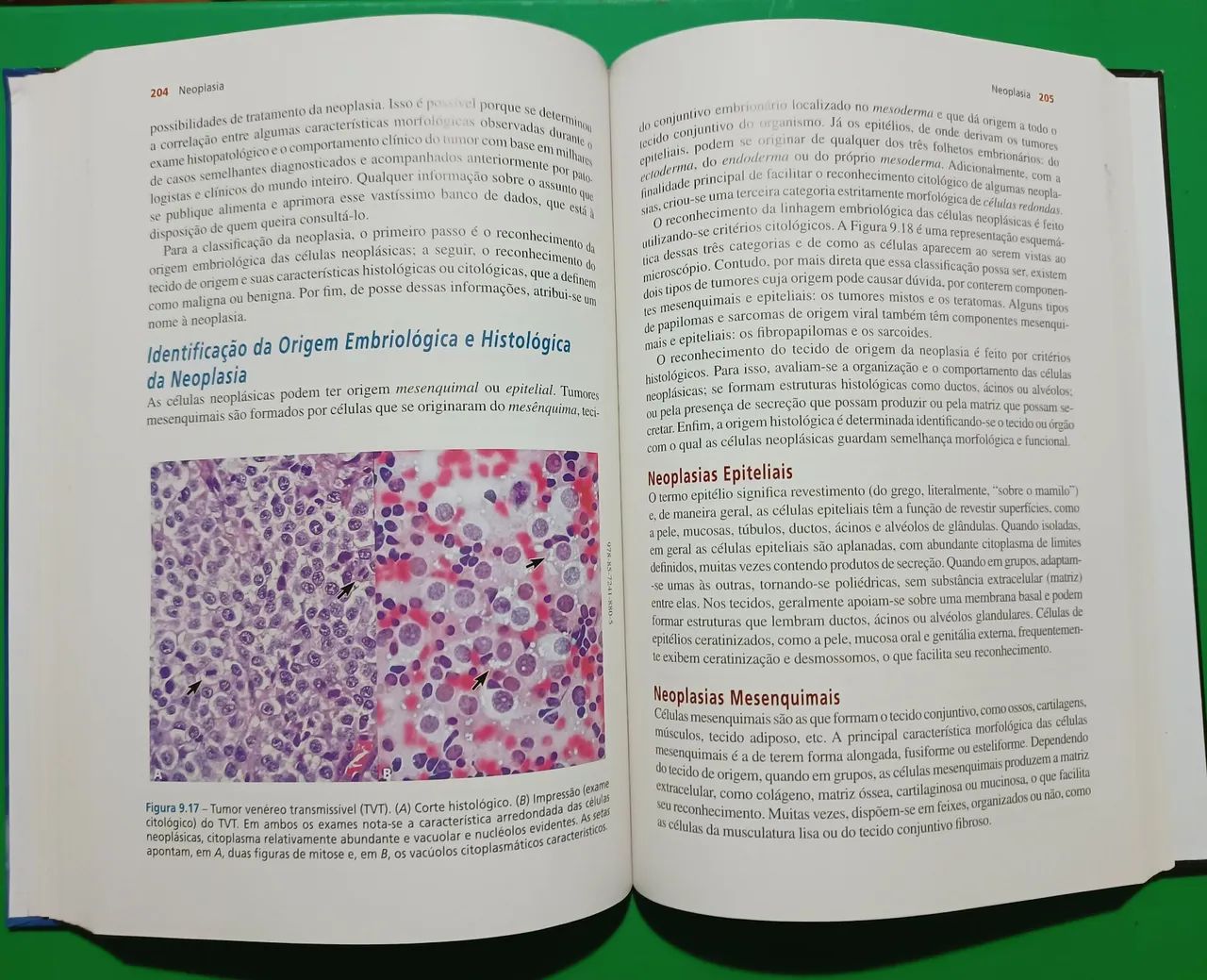 Patologia Geral Veterinária Aplicada - Foto 2