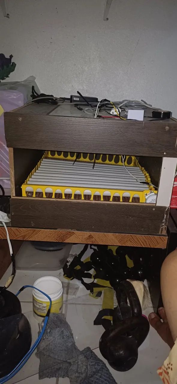 Chocadeira 120 ovos 