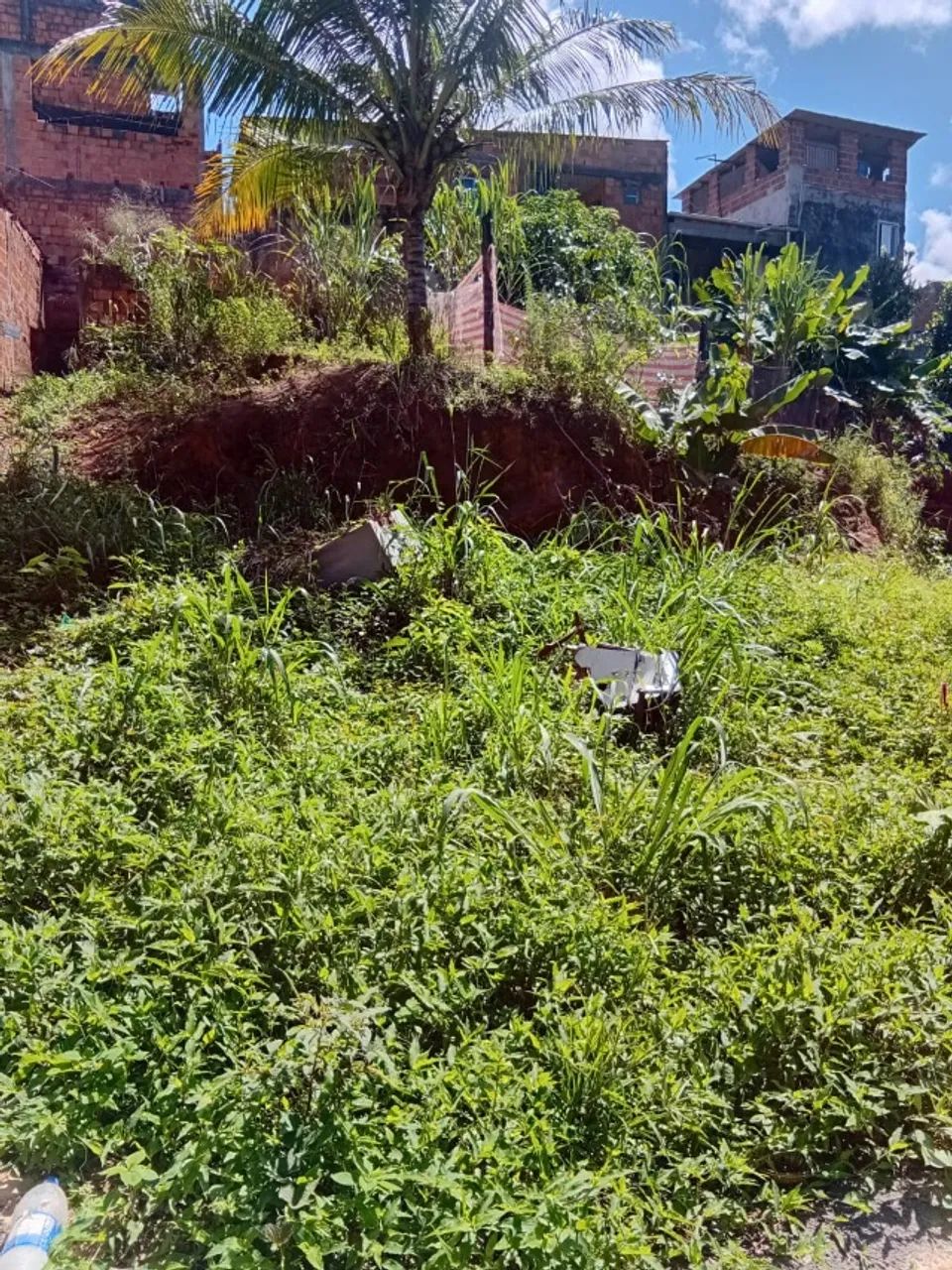Terreno - Foto 2