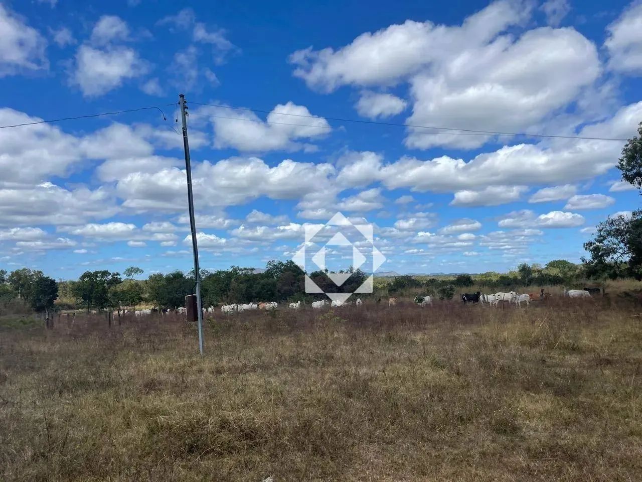 Fazenda com 900 alqueires para lavoura em Almas