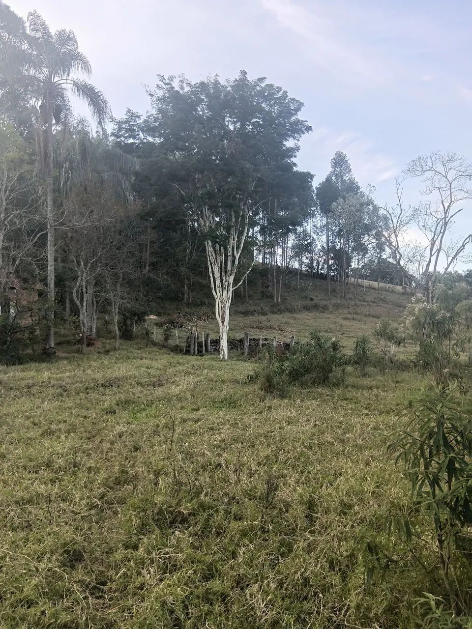 Vendo terreno  - Foto 5
