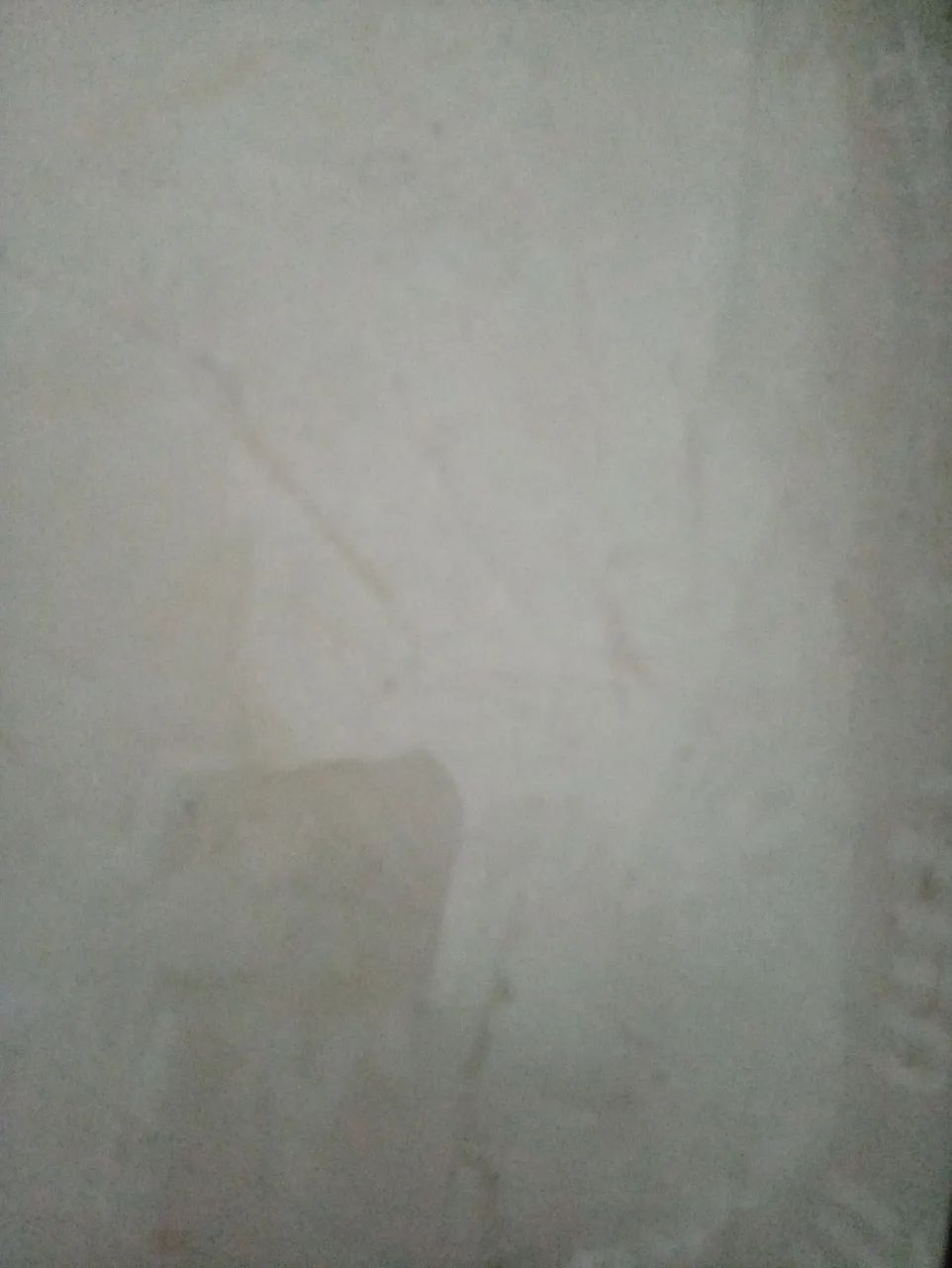 Queijo Coalho - Foto 5