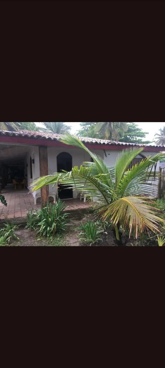 Vendo sítio em ilhéus -Ba zona norte  - Foto 4