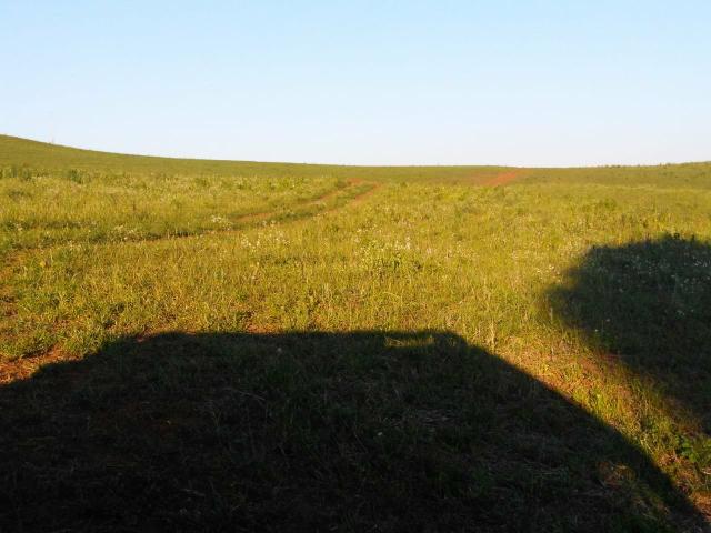 Fazenda de 66 Alqueires .50 Alqueires Mecanizados - 17 KM de Cantagalo PR - Foto 8