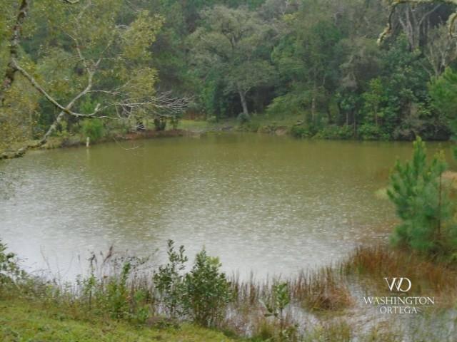 Chácara à venda, 2275517 m² por r$ 10.000.000,00 - centro - campo magro/pr - Foto 4
