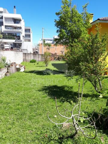 Terreno à venda em São cristóvão (distrito), Flores da cunha cod:RP7155 - Foto 2