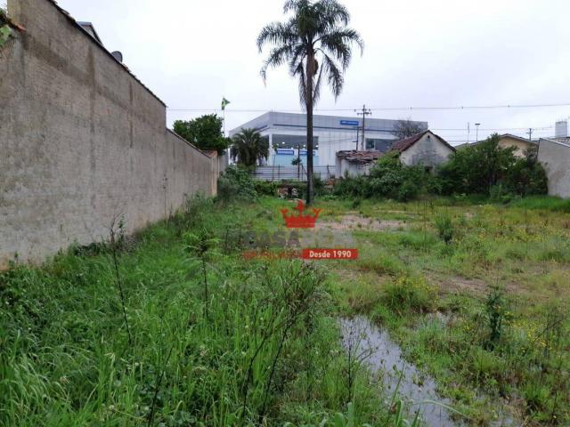 1041,40 m², prox. portal, duas frentes, comercial ou residencial - zr-4 coeficiente 2,5 e - Foto 8