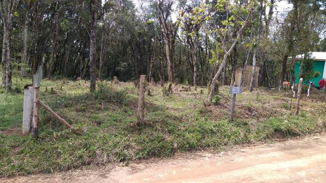 Terreno 1800 quadrados 20 dd frente por 90 de fundo - Foto 3