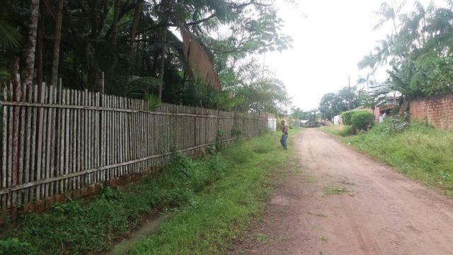 Sitio com Criação de Peixes - Foto 6