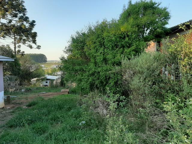 Terreno 10 x 40 = 400 m² na rua Rocha Pombo .bairro Cascavel - Guarapuava PR - Foto 5