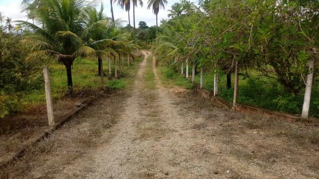 Glória de Goitá=Vend.160 mil=2 Hect=Casa,Pastos,Água,Energia,Fruteiras e mais - Foto 2