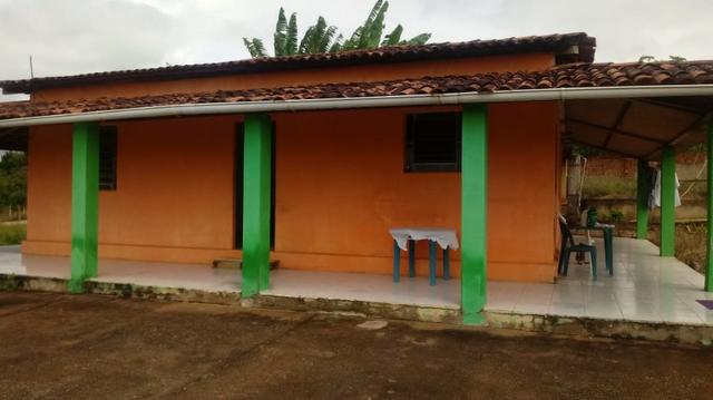 Glória de Goitá=Vend.160 mil=2 Hect=Casa,Pastos,Água,Energia,Fruteiras e mais - Foto 3