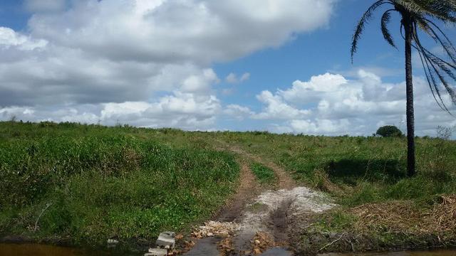 Granja na BR 101, 33 Hectares, 2 Rios, Casa Sede, 3 Baias, Poço, Pasto, Capim - Foto 3