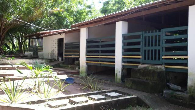 Granja Riachão 14.5 Hectares, 3 Baias, Aprisco, Cocheira, Poço, Casa sede e Morador - Foto 12