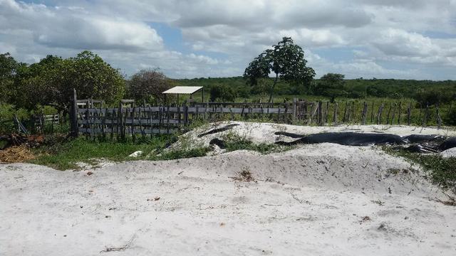 Granja na BR 101, 33 Hectares, 2 Rios, Casa Sede, 3 Baias, Poço, Pasto, Capim - Foto 7