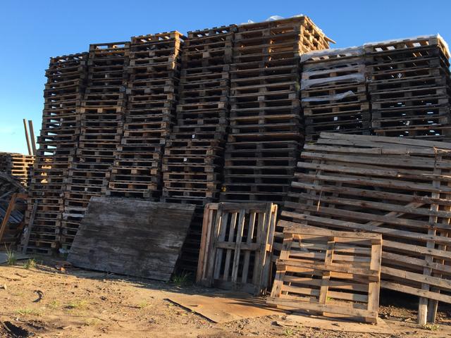 Pallets preços excelentes