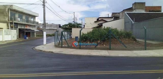 Terreno para alugar, 325 m² por R$ 700,00/mês - Jardim Novo Cambui - Hortolândia/SP - Foto 13