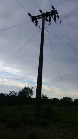 FAzenda de 234 alqueires na região de goianorte - Foto 2