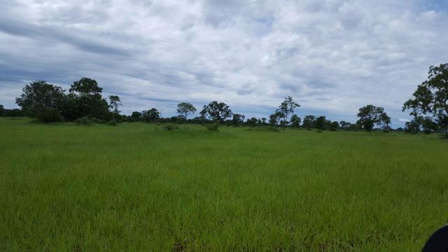 Fazenda Santo Antonio Leverger 870 Hectares - Foto 17