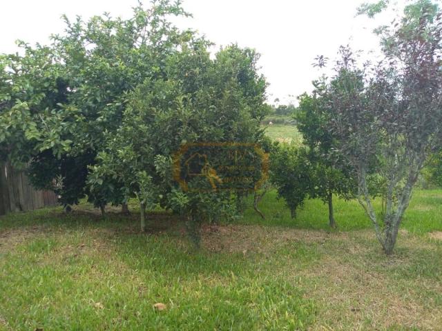 BELO SITIO - Foto 17