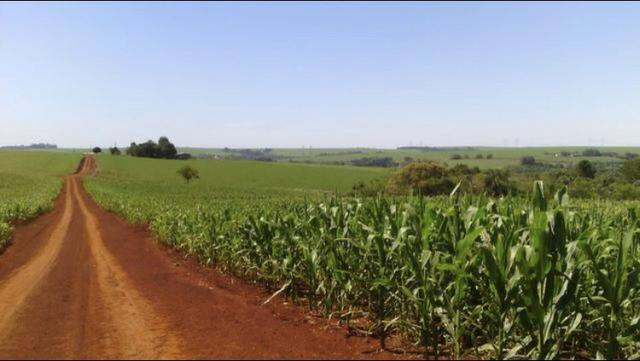 Sítio entre Cascavel e Sede Alvorada