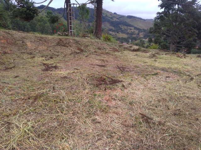 Chácara com 3.000 m2 em Delfim Moreira, MG. Aceito carro! - Foto 10
