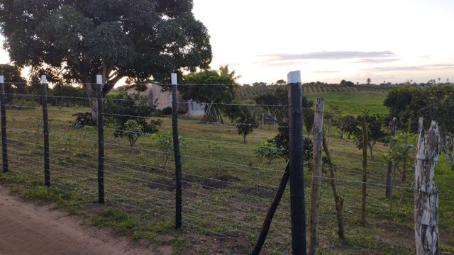 Vende se Sitio de 03 Tarefas em Sapeaçu  Bahia 