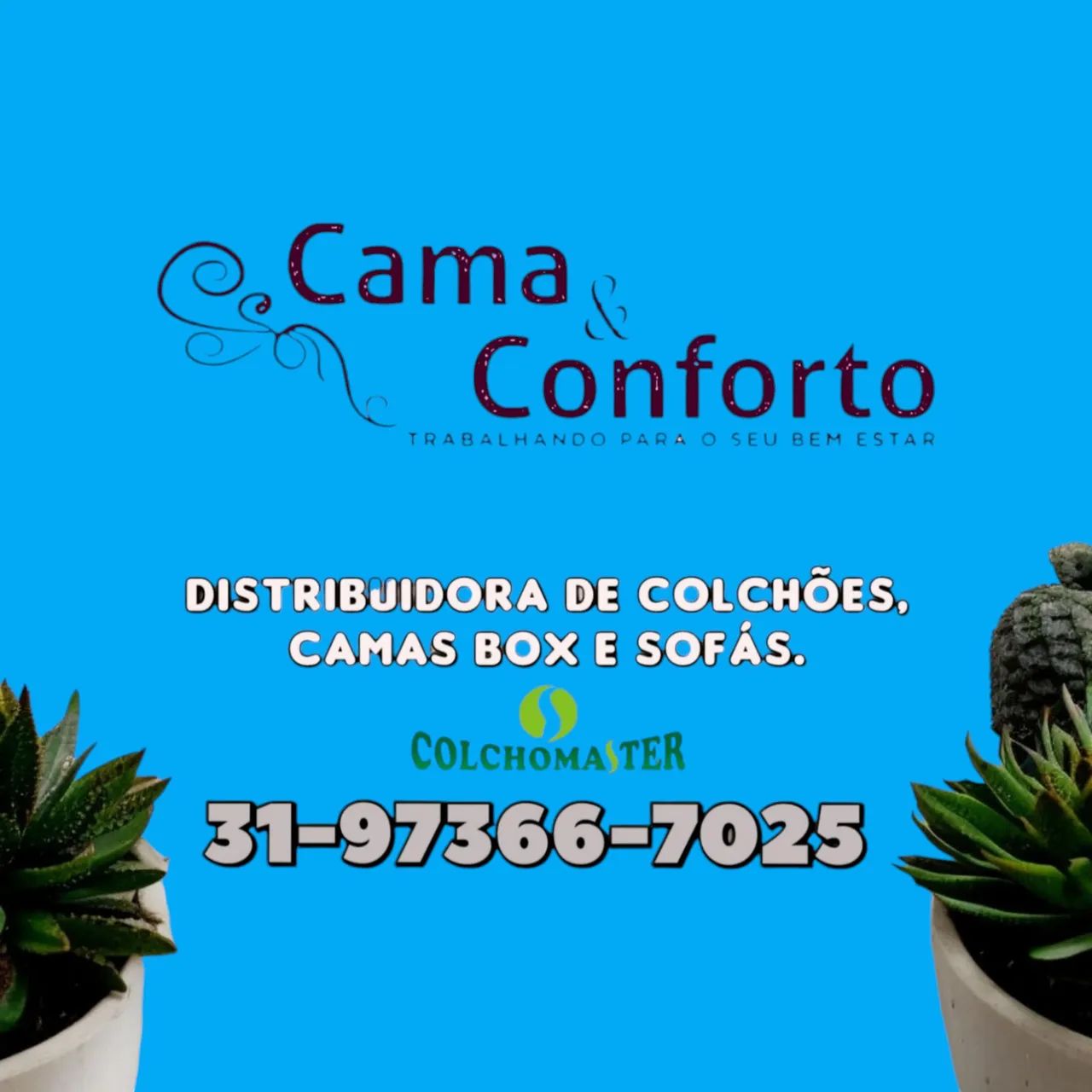 CAMA SOLTEIRO BOX NOVAS / MODELO 2409270843 - Foto 2
