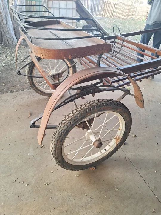 Potro puro e charrete  - Foto 4