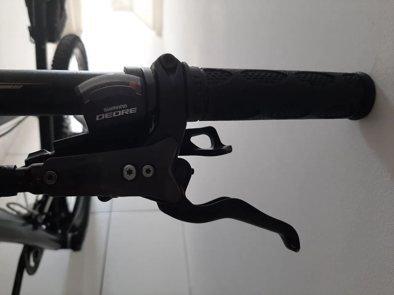 Bike 29