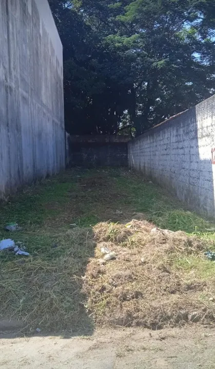 Terreno no Centro de Roseira - SP