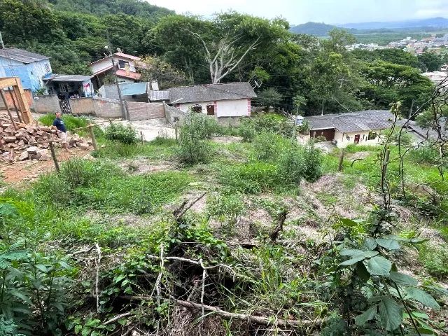 Terreno vista mar 230 m2-Alto do Ribeirão próximo do trevo do Erasmo - Foto 4