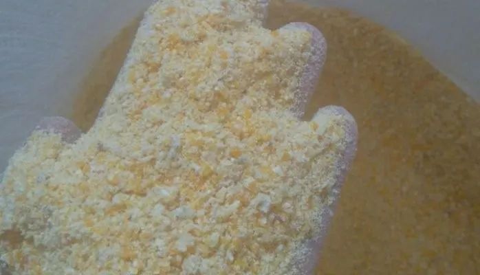 Milho em Grãos de Qualidade Padrão 1 - Foto 5