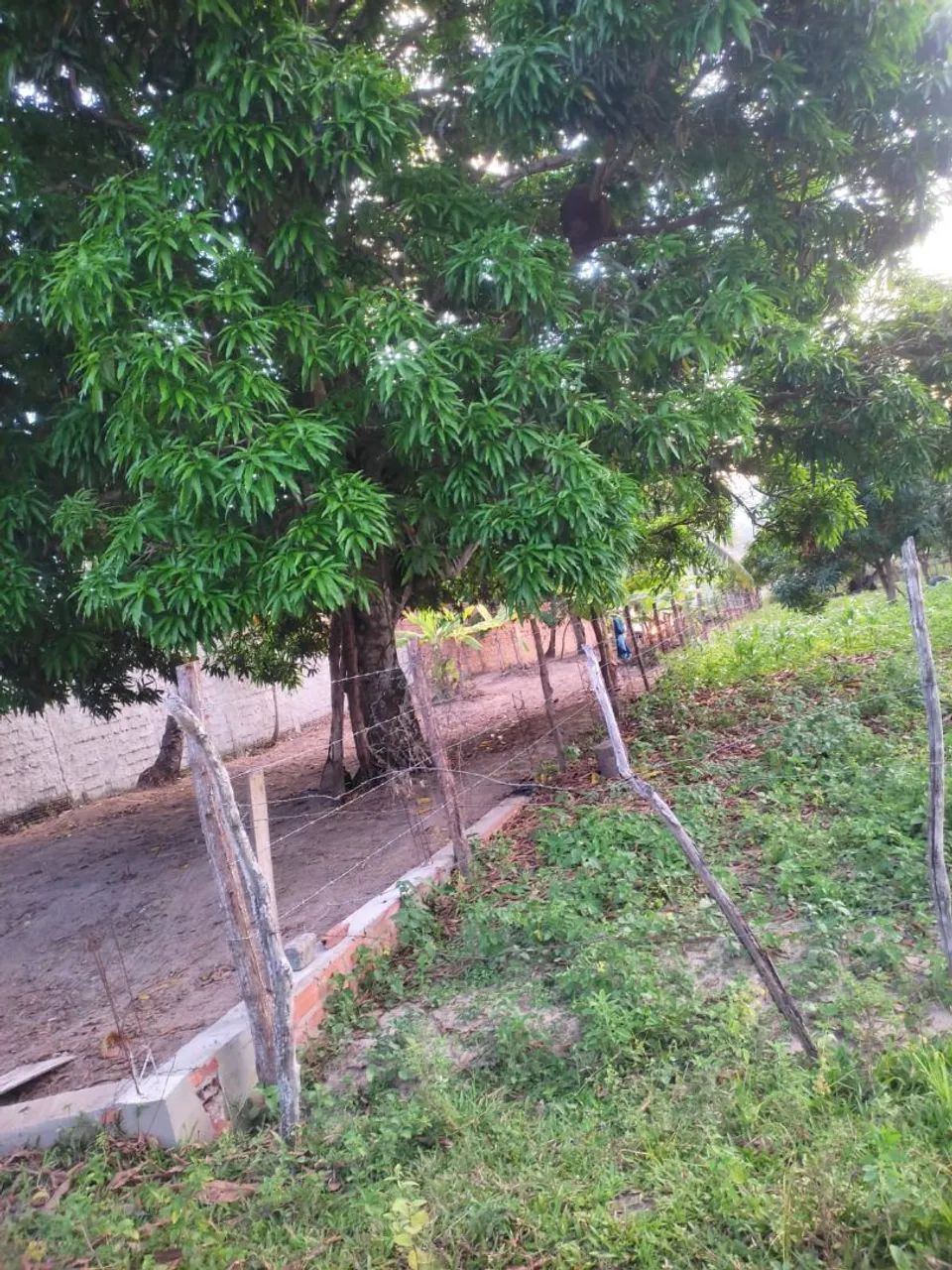 Terreno em são Cristóvão  - Foto 4