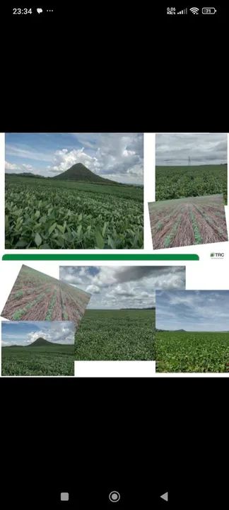 Fazenda 8.446.28 hect a 84km de Cuiabá MT  - Foto 2