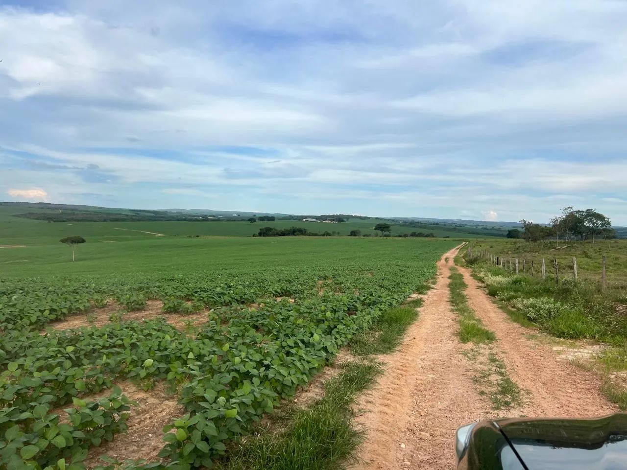 Fazendas no Goiás  - Foto 3