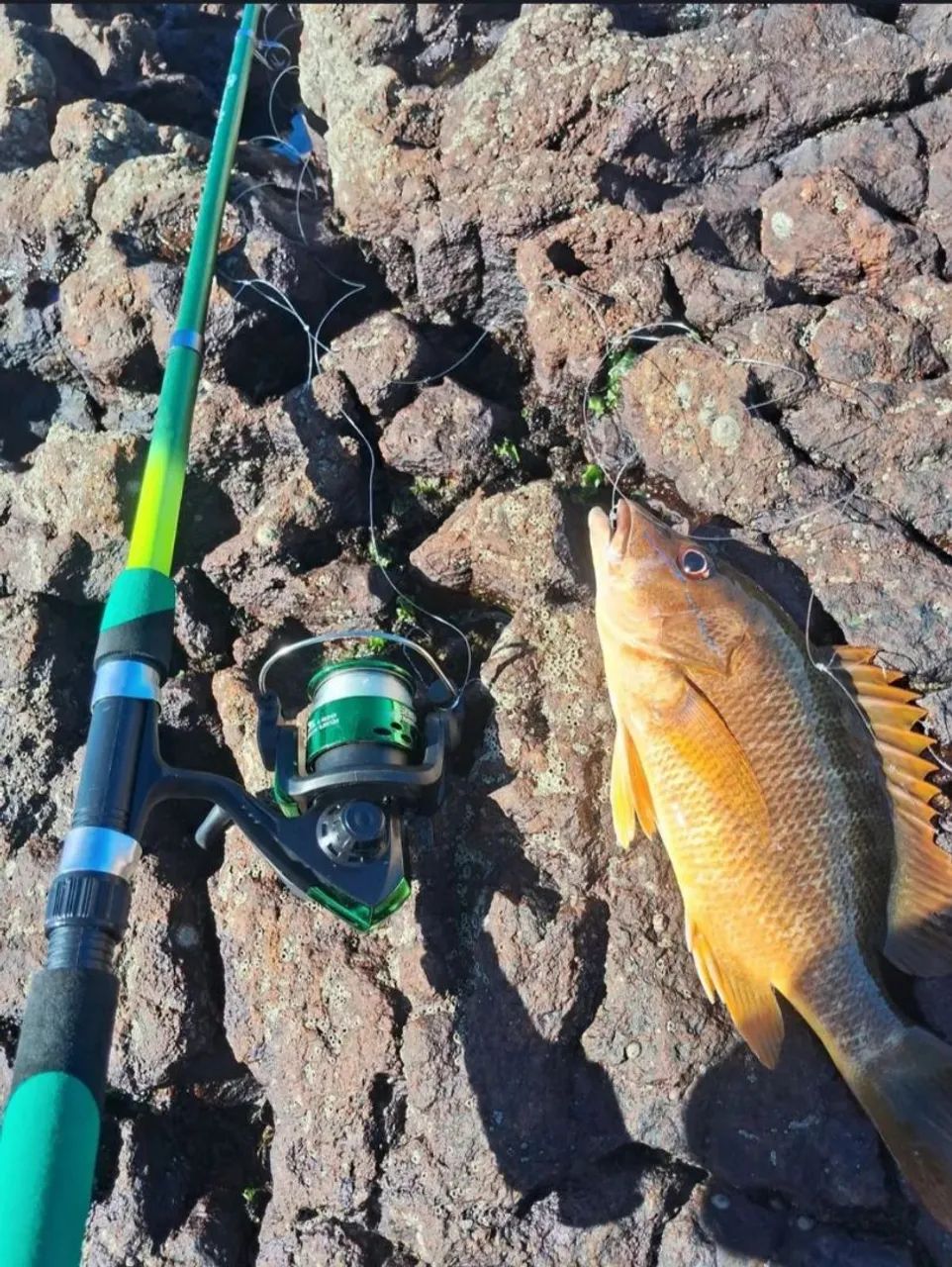 Vara de pesca completo 